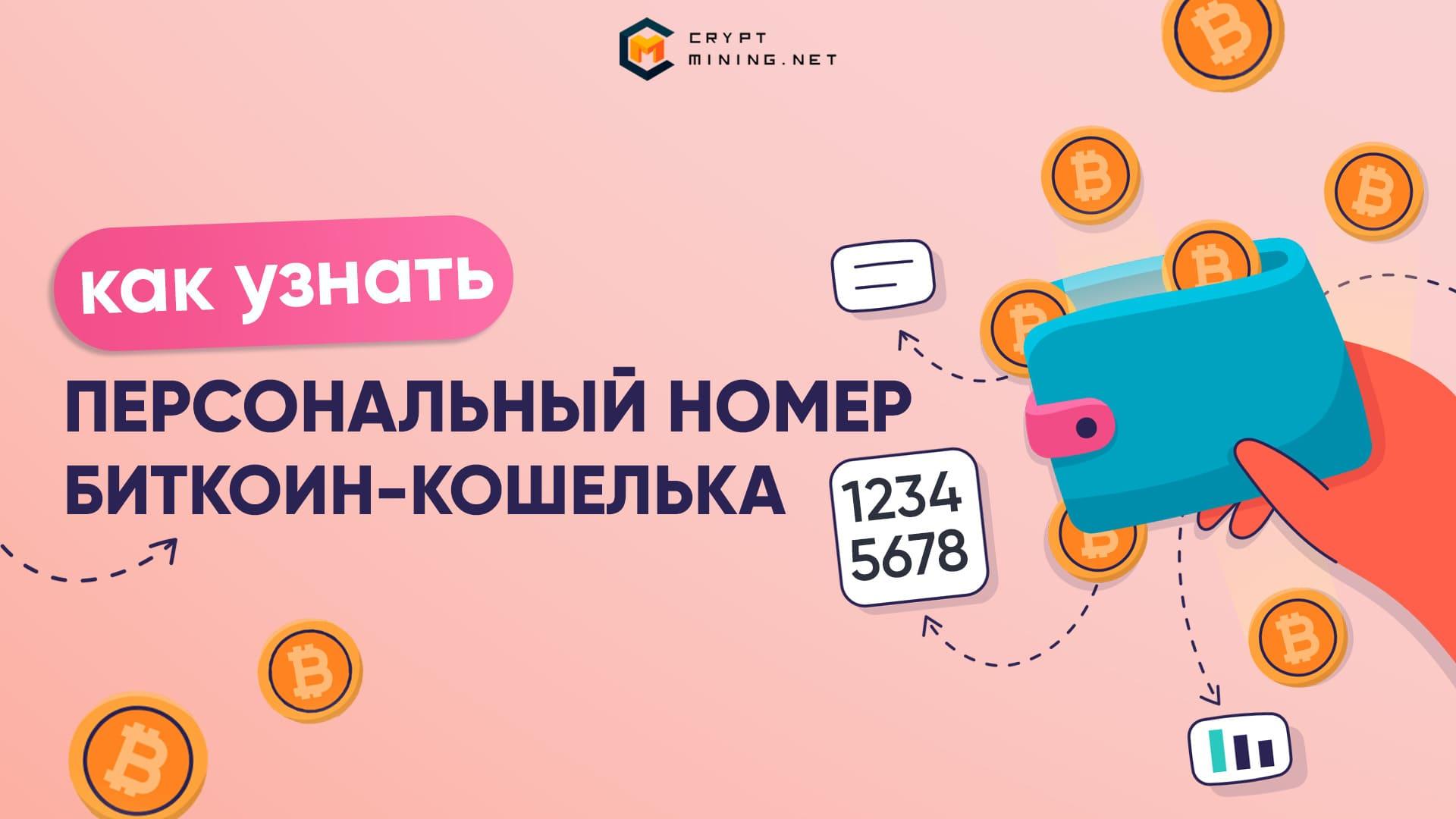 Bitcoin-адрес кошелька: где найти, как проверить