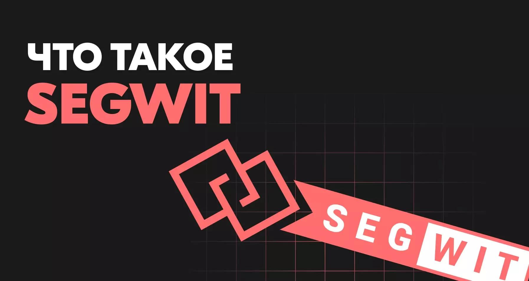 Полный обзор SegWit, виды, особенности, сфера применения, как работает, плюсы и минусы